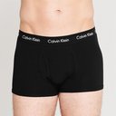 2 Pack Trunks