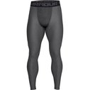 HeatGear Core Tights Mens