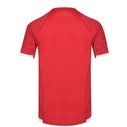 British and Irish Lions Pro Shirt Tango Red