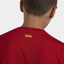 British and Irish Lions Lightweight T-Shirt Junior Boys