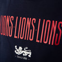 British Irish Lions Graphic Hoodie Junior Boys