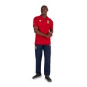 British and Irish Lions Pique Polo Shirt Mens