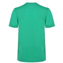 British and Irish Lions Jersey T Shirt Mens