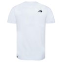 Logo T Shirt